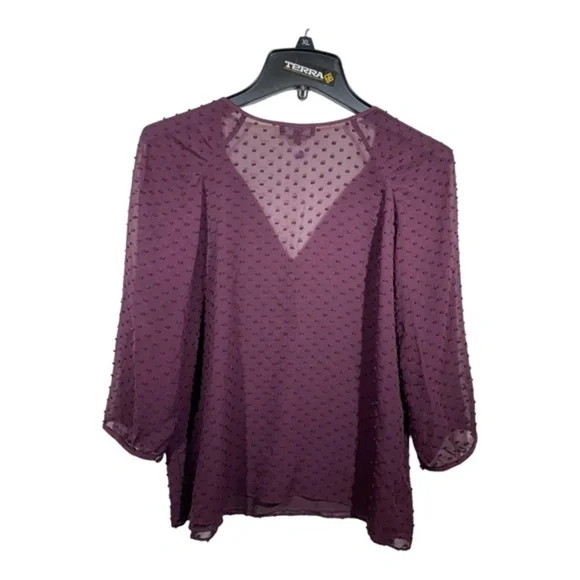 Aritzia Babaton Womens Silk Blend Blouse V-Neck Swiss Dot 3/4 Sleeve Size XS - Picture 11 of 12